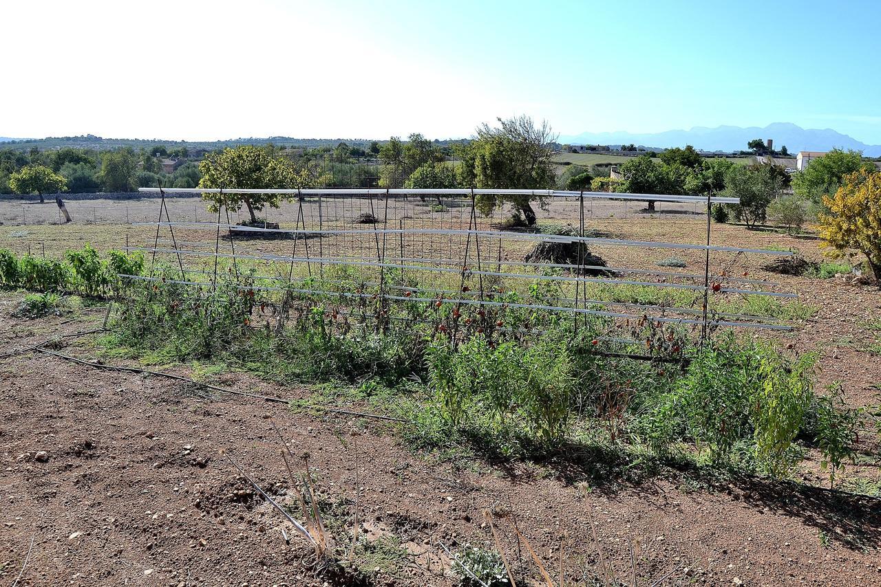 054 Finca Es Bosquerro Etv5362 By Mallorca Charme Santa Margalida Eksteriør bilde